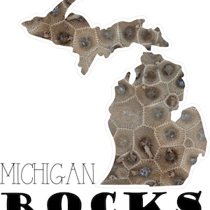 Può includere: Un contorno bianco dello stato del Michigan riempito con un motivo di corallo fossilizzato marrone e grigio. Il testo "MICHIGAN ROCKS" è sotto il contorno.