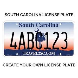 Custom South Carolina License Plate / Replica South Carolina License Plate / South Carolina License Plate with YOUR TEXT / US South Carolina