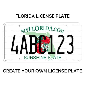 Custom Florida License Plate / Replica Florida License Plate / Florida License Plate with YOUR TEXT / US Florida State License Plate