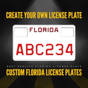 Custom Florida Motorcycle License Plate / 1988-1996 Florida Motorcycle License Plate / Florida Motorcycle License Plate with YOUR TEXT