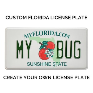 Custom Florida License Plate / Replica Florida License Plate / Florida License Plate with YOUR TEXT / US Florida State License Plate