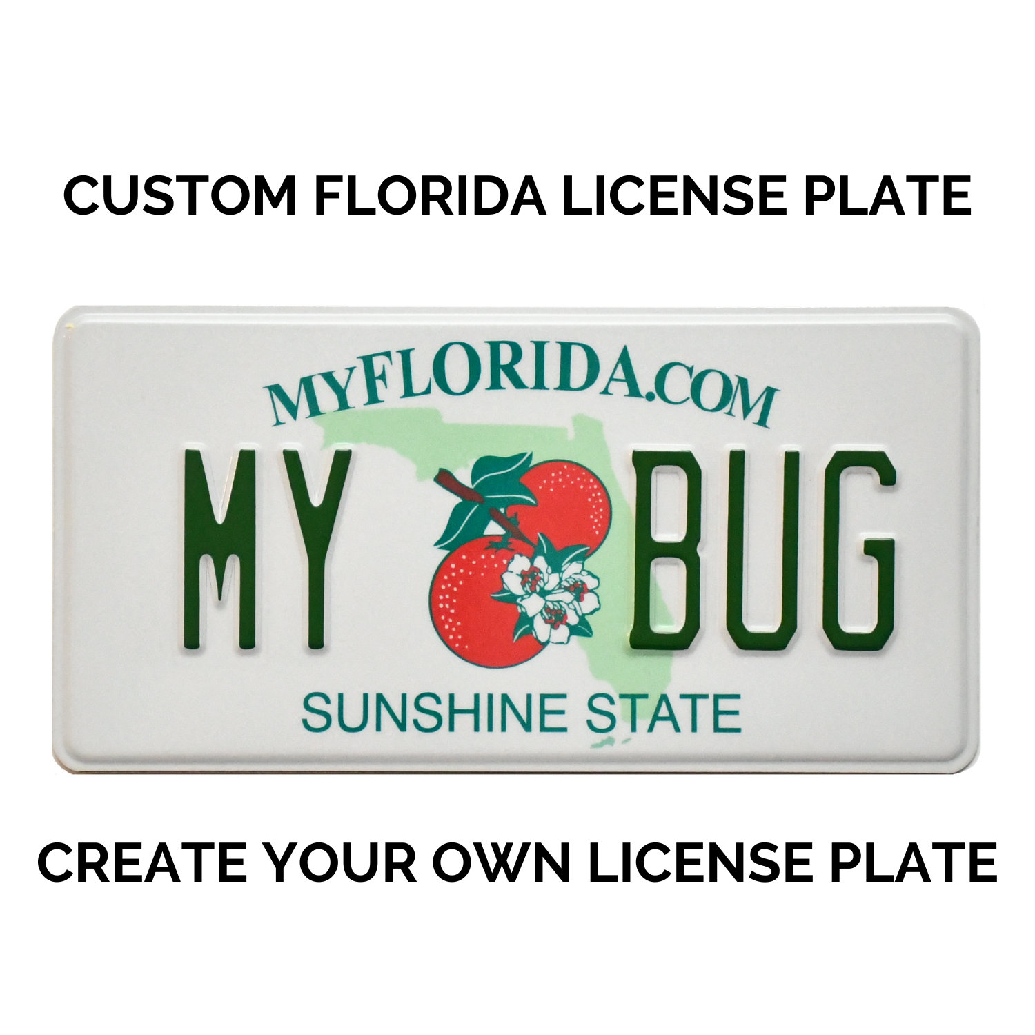 US REFLECTIVE MYFLORIDA.COM DEALER ALUMINUM LICENSE PLATE WITH ORIGINAL FL  FONT, COUNTER-EMBOSSED BORDER, STICKER FRAME EMBOSSED, SIZE 12x6 / 300x150