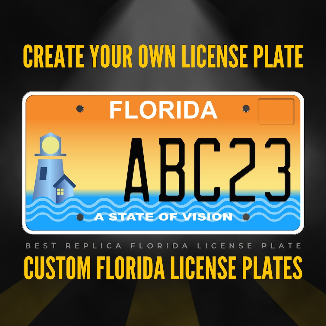 Custom Florida License Plate / Florida A State of Vision License Plate