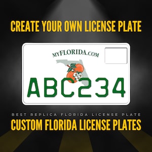 Custom Florida Motorcycle License Plate / 2007-2009 Florida Motorcycle License Plate / Florida Motorcycle License Plate with YOUR TEXT