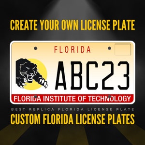 Custom Florida License Plate / Florida Institute of Technology License Plate with YOUR TEXT / Personalized Florida License Plate / P34