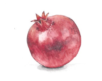 Granatapfel - feine Art Giclée-Original Aquarell