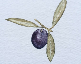 Olive - Fine Art Giclée-Original Aquarell