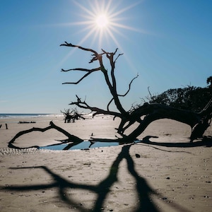Botany Bay Beach