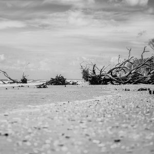 Botany Bay Beach