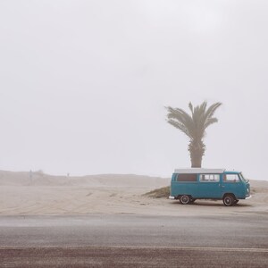 VW Bus by a Palmetto on Edisto Beach -2