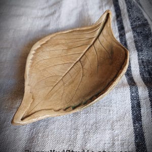 May include: A handcrafted, ceramic leaf-shaped dish in a natural, earthy tone. The dish features detailed veining and a slightly raised edge, perfect for holding small items. The Etsy shop name, FuzzyMudStudio.etsy.com, is visible at the bottom.
