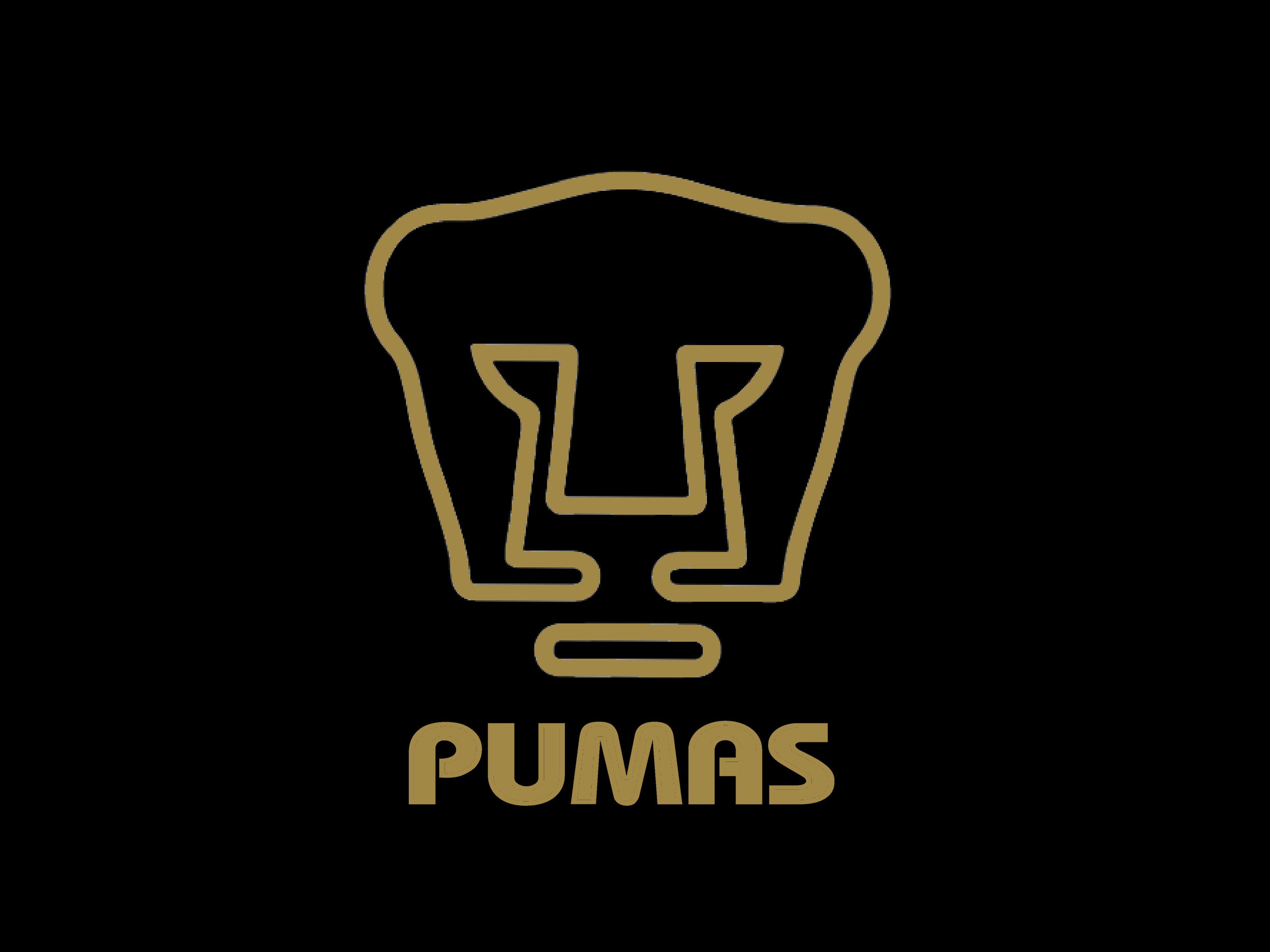 puma unam