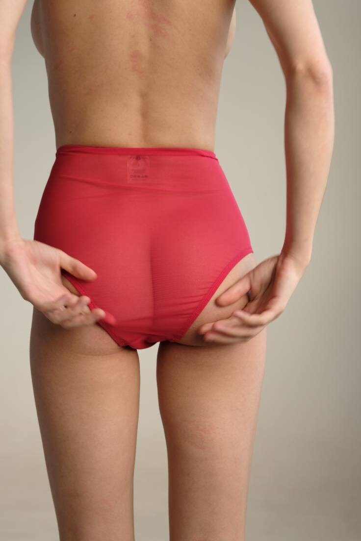 Sheer Mesh Red High Waist Panties, Highwaisted Underwear, See