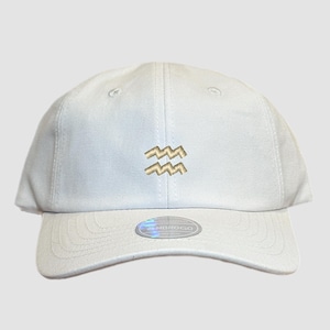 Aquarius Zodiac Sign Embroidered Hat, Astrology Hat, Horoscope Hat Gift, Zodiac Embroidery, Birth Month Hat, Custom Sun Sign Horoscope Hat