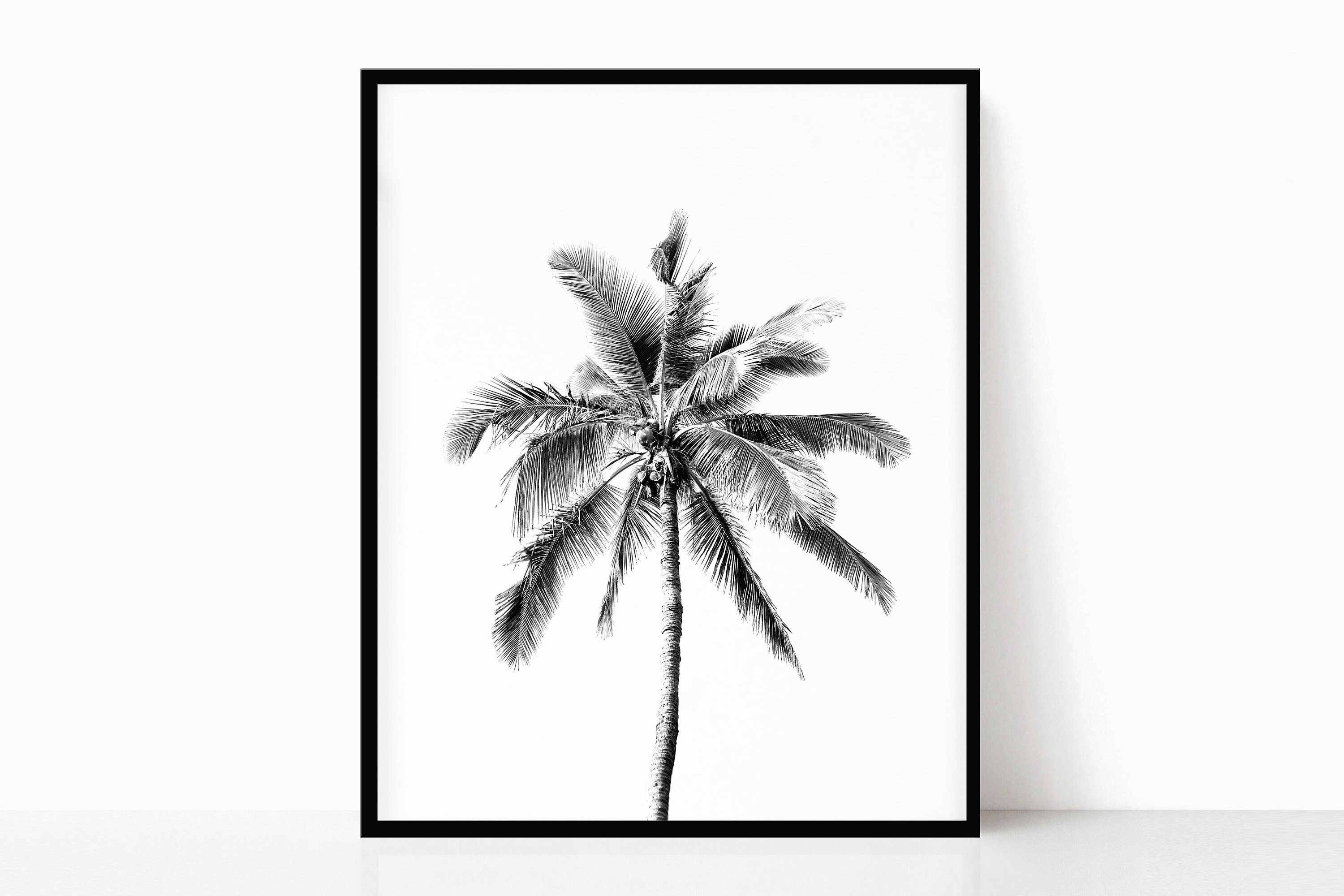 Palm Tree Printable Black and White Digital Download Modernphotography