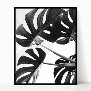 Monstera Leaves Printable • Black and White • Digital Download • Modern Photography Print • Minimalist Wall Art • Tropical Plant Poster