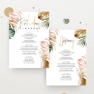 Peut inclure: Un itinéraire de voyage d'anniversaire sur le thème tropical avec une illustration d'ananas. L'itinéraire comprend une liste d'activités pour un week-end, notamment l'enregistrement, des cours de surf, des fêtes à la piscine, des dîners et des événements culturels.