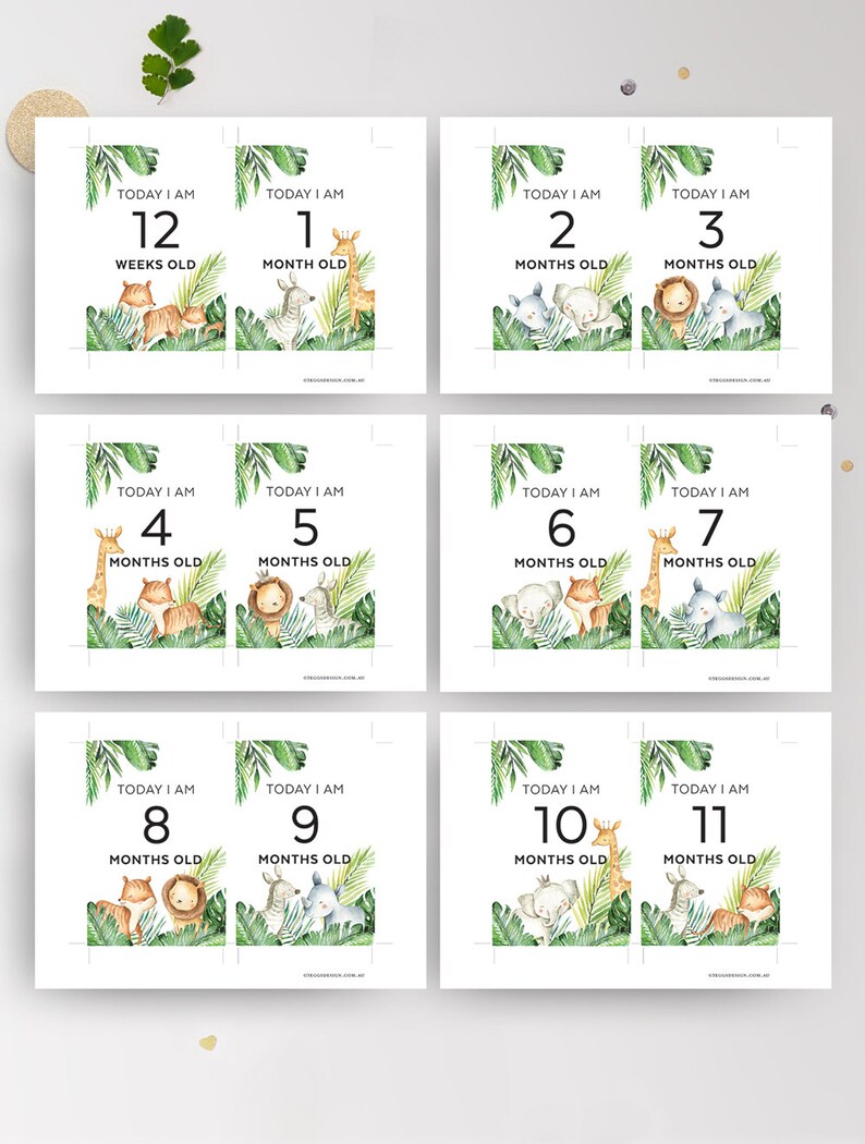 Safari Baby Milestone Cards Printable Monthly Photo Prop | Etsy
