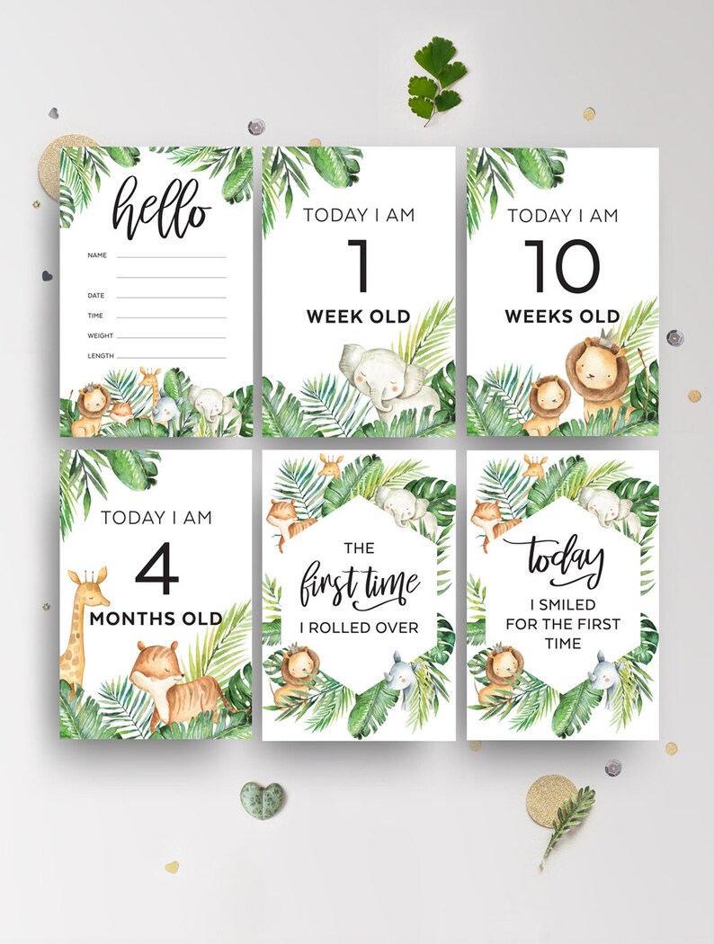 Safari Baby Milestone Cards Printable Monthly Photo Prop | Etsy