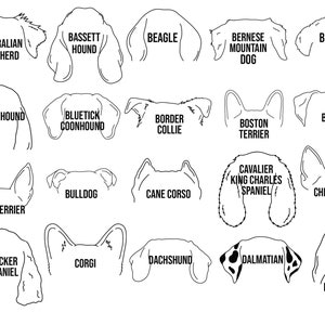 May include: Black and white line art illustrations of different dog breeds, including Australian Shepherd, Bassett Hound, Beagle, Bernese Mountain Dog, Bichon, Bloodhound, Bluetick Coonhound, Border Collie, Boxer, Boston Terrier, Bulldog, Cane Corso, Cavalier King Charles Spaniel, Chihuahua, Cocker Spaniel, Corgi, Dachshund, Dalmatian, and Doberman.