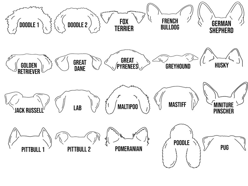 May include: Black and white line art illustrations of different dog breeds, including a Golden Retriever, Great Dane, Jack Russell, Labrador, and more. Each breed is labelled with its name.