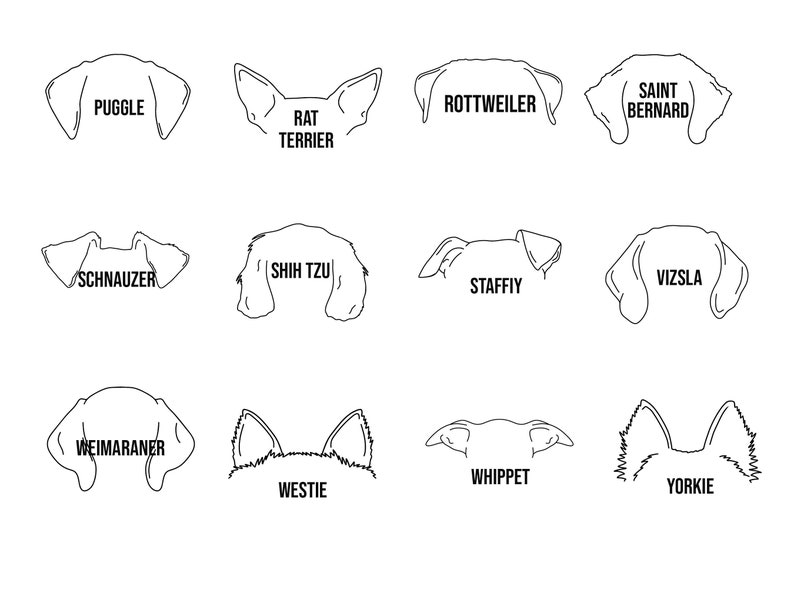 May include: Line art illustrations of different dog breeds, including a Puggle, Rat Terrier, Rottweiler, Saint Bernard, Schnauzer, Shih Tzu, Staffy, Vizsla, Weimaraner, Westie, Whippet, and Yorkie.