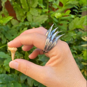 Shark Tooth Ring Stack in Solid Sterling Silver or 14k Gold image 2