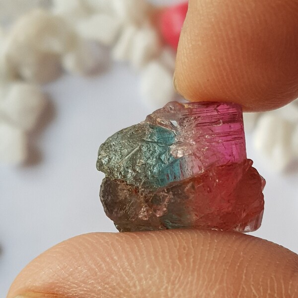 Bicolor Tourmaline Rough, Tourmaline rough, Raw Tourmaline, Blue Tourmaline, Pink Tourmaline, Tourmaline bicolor, Tourmaline crystals, Gems