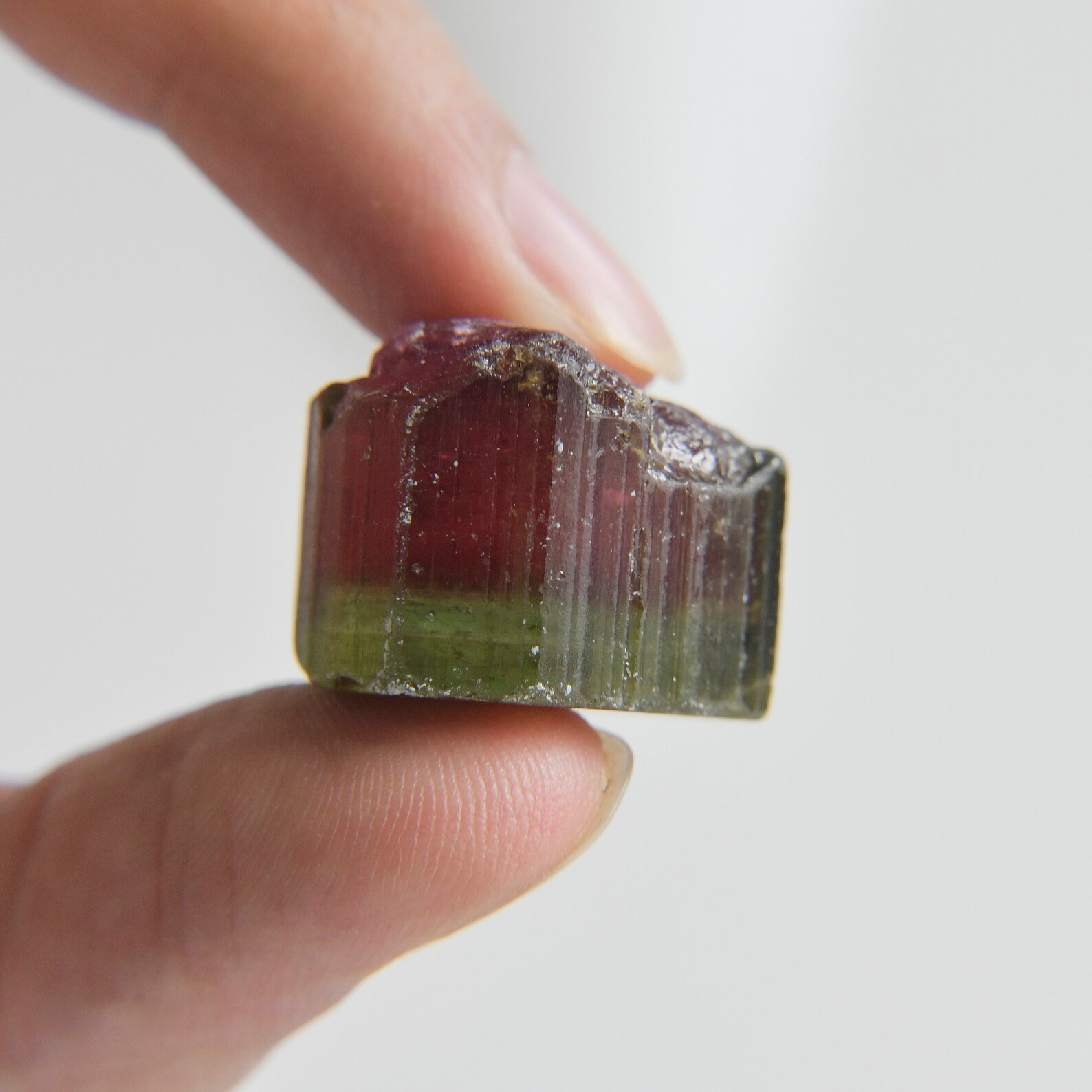 Bicolor Tourmaline Rough Watermelon Tourmaline Rough Green Etsy UK