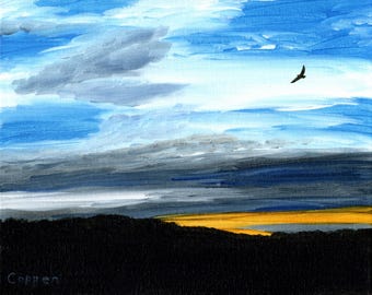Volando al atardecer