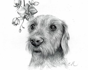 Custom Hand Drawn Pet Portrait - Personalised Pet Art Portrait from photo- Memorial Pet Loss Gift Animal Lover Portrait Commission Pet Mom