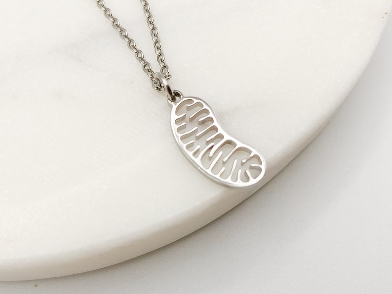 Mitochondria Necklace, Biology Necklace, Biology Gift, Cell Necklace, Science Teacher Gift, Biology Jewelry, Cell Structure image 6