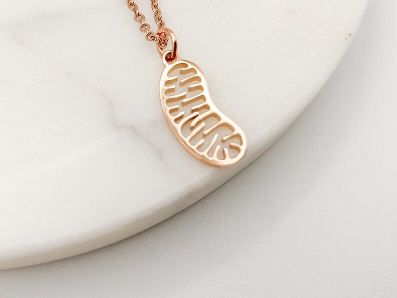 Mitochondria Necklace, Biology Necklace, Biology Gift, Cell Necklace, Science Teacher Gift, Biology Jewelry, Cell Structure image 4