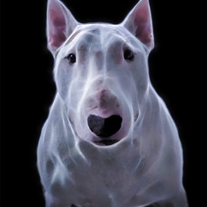Bull Terrier Art Print, Spiritual Fractalius Style Dog Print, Black Background Wall Art, Mystical Bull Terrier Decor, Pet Lover Gift