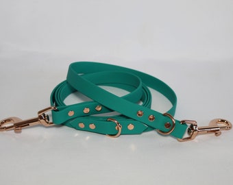 6 Foot Biothane/Waterproof Webbing Training Lead - All Colours