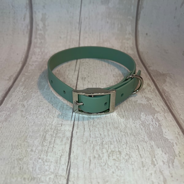 Sage Green Biothane Waterproof Dog Collar