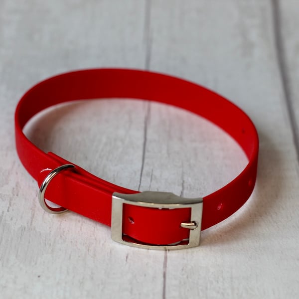 Red Biothane Dog Collar