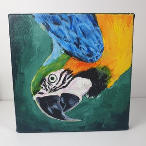 Original acrylic painting of macaw on canvas