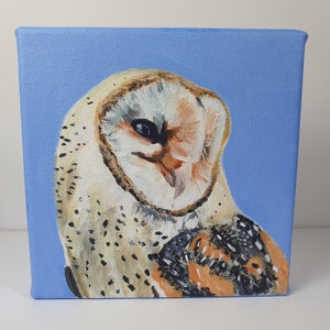 Original acrylic painting of barn owl on canvas