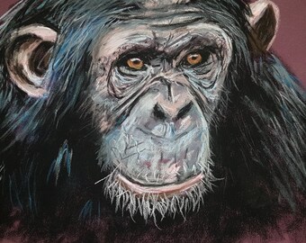 Pastel chimpanzee drawing