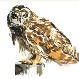 Original watercolour painting of short-eared owl
