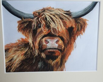 Highland cow giclée print with mount (Limited Edition of 6)