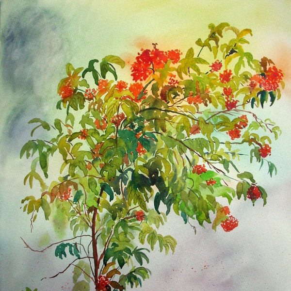 Ixora plant Original watercolor artwork