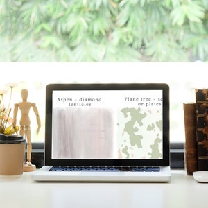 May include: A laptop computer with a white background and a green and brown pattern on the screen. The text on the screen reads "Aspen - diamond lenticels" and "Plane tree - scales or plates".