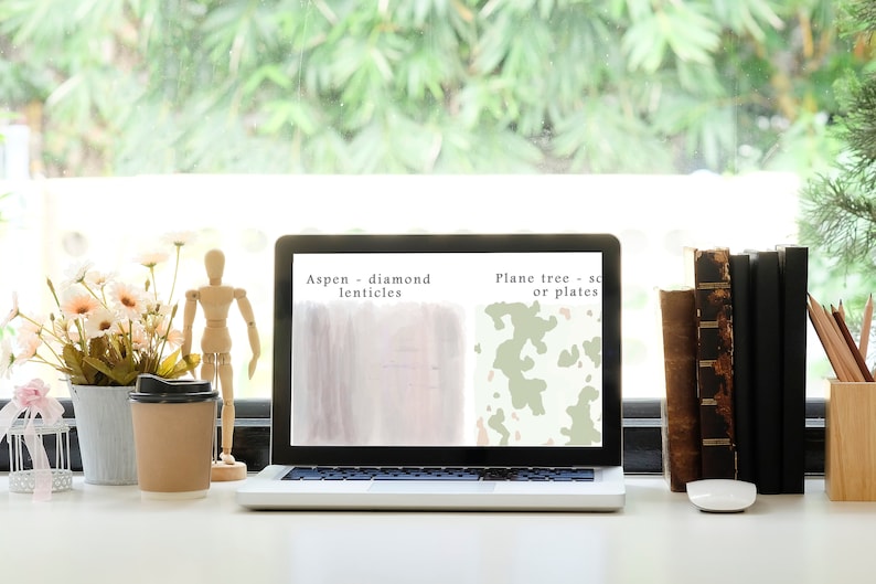 May include: A laptop computer with a white background and a green and brown pattern on the screen. The text on the screen reads "Aspen - diamond lenticels" and "Plane tree - scales or plates".