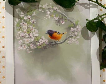 Baltimore Oriole - bird painting |  | Framed wall art