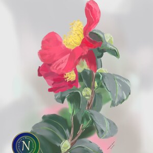 Camellia flower painting | framed floral wall art | Fine art Giclée print | Floral painting | Framed painting nature