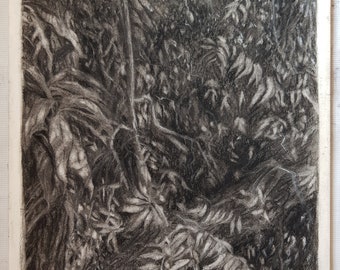 Neem and mango trees - charcoal drawing| Landscape wall art | 9 by 12 in