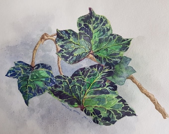 Ivy deja arte botánico / Pintura original de acuarela - Ivy/ Nature wall art / 9 por 12 pulgadas