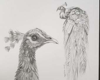 秋の夕日の鉛筆画、自然風景画、鳥と川の風景、手作りのオリジナル
